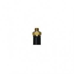 HARARET MÜŞÜRÜ (WILDCAT)