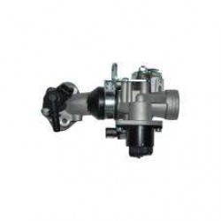 GAZ KELEBEĞİ (WILDCAT)